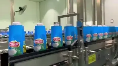 Steam Shrink Tunnel for Coconut Water Bottles